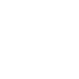 Plasma
